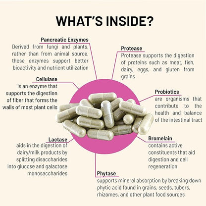 Mountain Peak Nutritionals Digestive – Probiotics for Gut Health & Bloating Relief - 1.5 Billion CFU* - Gastrointestinal Support w/Enzymes - Hypoallergenic Dietary Supplement (90 Capsules)