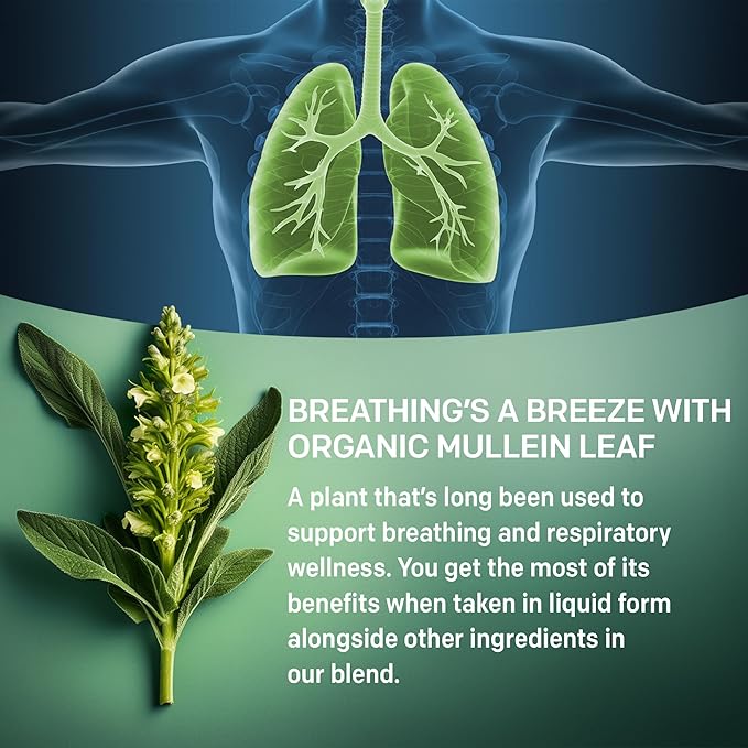 5-in-1 Mullein Drops for Lungs and Bronchial - Respiratory Lung Health Support with Mullen Leaf Extract for lungs - Mullein Tincture with Elderberry, Marshmallow, Ginger Root (120 Servings) (4-pack)