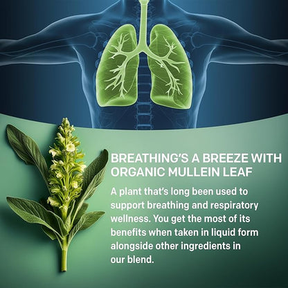 5-in-1 Mullein Drops for Lungs and Bronchial - Respiratory Lung Health Support with Mullen Leaf Extract for lungs - Mullein Tincture with Elderberry, Marshmallow, Ginger Root (120 Servings) (4-pack)