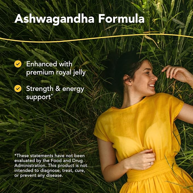 NORTH AMERICAN HERB & SPICE Ashwagandha 60 Caps
