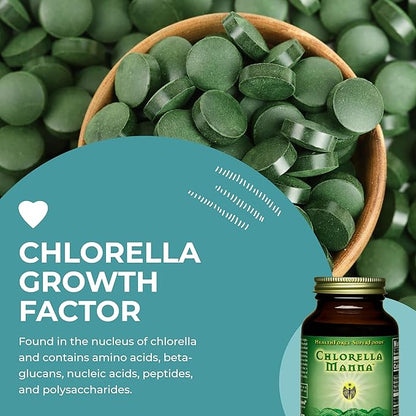 HealthForce SuperFoods Chlorella Manna - Powder - 100 Grams