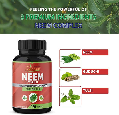 Organic Cadane Neem Leaf Supplements Capsules, 3in1 with Holy Basil Tulsi, Guduchi, 120 Vegetable Capsules | Supports Immune System | Fresh Pure Powder Leaves Herbs