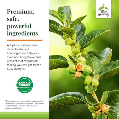 Terry Naturally Adaptra - Supplement to Support Adrenal Health - Ashwagandha Supplement with Rhodiola Rosea Extract - Herbal Supplement to Support Energy & Concentration - 60 Capsules