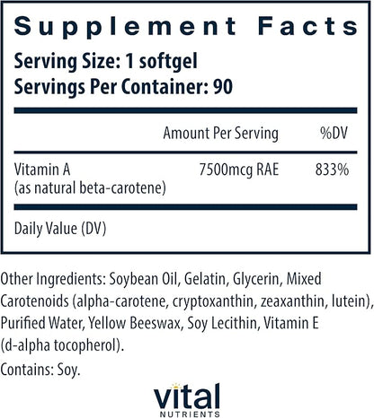 Vital Nutrients Natural Beta Carotene 25,000IU | Precursor to Vitamin A | High-Dose Antioxidant | Vision, Skin, and Health Support | Gluten, Dairy, Soy Free | 90 Softgels