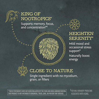 Sunwarrior Lions Mane Supplement Organic Mushroom Powder | Lion's Mane Powder Focus Supplement Mushroom Tea | 150g Pouch 60 Servings | Be Well