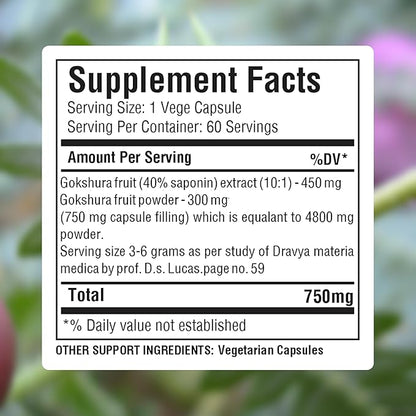 Tribulus Terrestris Gokshura 750mg | 30% Saponins, 60 Vegan Capsules | Ayurvedic Supplement for Vitality, Energy, Stamina & Wellness Support