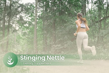 PURE ORIGINAL INGREDIENTS Stinging Nettle (100 Capsules) Leaf Always Pure, No Additives Or Fillers, Lab Verified