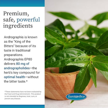 Euromedica Andrographis EP80 - Supplement for Brain Health & Immune Support - Joint Health Support Supplement to Aid Mobility - Vegan Adaptogen Supplement for Energy & Liver Support - 60 Capsules