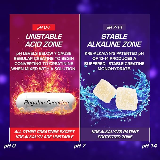 EFX Sports Kre-Alkalyn EFX Gummies | pH Correct Creatine Monohydrate Pill Supplement | Strength, Muscle Growth & Performance | 60 Servings, 120 Gummies - Citrus Blast