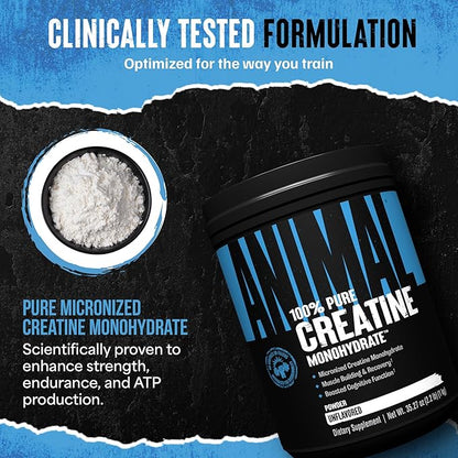 Animal Creatine Monohydrate Powder - Micronized Creatine for Women and Men, Supports Muscle Growth, Strength, Endurance, Recovery and ATP Production, Gym & Workout Supplements - Unflavored, 1kg