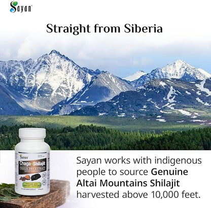 Sayan Siberian Chaga Mushroom Extract with Shilajit 90 Capsules/420mg ea.– Immune and Digestion System Support – Fulvic Acid Supplement – Energy & Clarity – Exclusive Blend – No Fillers