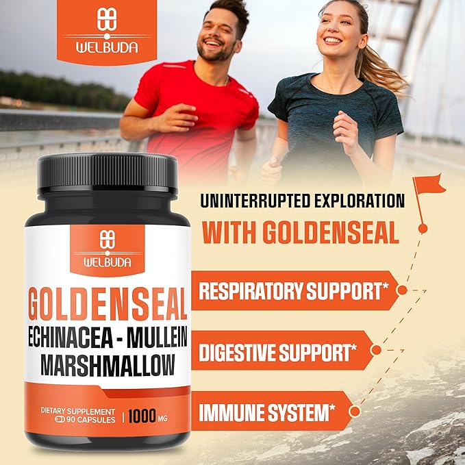 1000mg Goldenseal Root Capsule Extract 10:1 with Echinacea, Mullein Leaf, Marshmallow - Support Immune System, Digestive Health, Overall Well-Being & Body Management - 90 Veggie Capsules