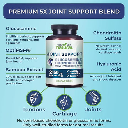Why Not Natural Glucosamine Chondroitin, MSM, Joint Support Supplements - Knee Pain Joints Health Suppplement