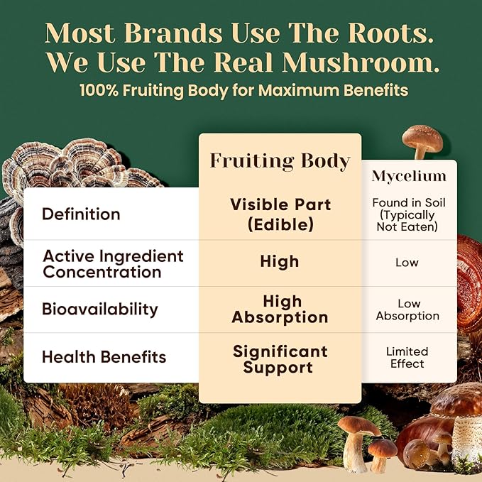 Venture Pal Mushroom Powder – 16 Mushroom Blend with Adaptogens for Coffee & Tea | Ashwagandha, Lion’s Mane, Rhodiola | 10:1 Extract from 100% Fruiting Bodies | 90 Servings