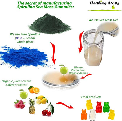 Spirulina Gummies Sea Moss Gummies - Superfood Supplement for Overall Wellness - Spirulina Sea Moss Gummy Bears Made with Blue-Green Spirulina Powder & Sea Moss Extract