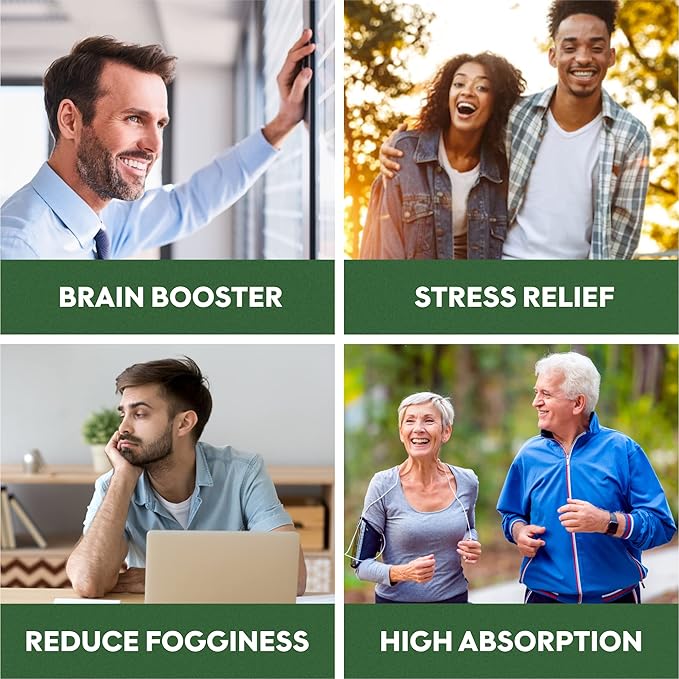 Brain Booster Nootropics - Brain Shield with Ginkgo Biloba, Alpha GPC and Bacopa Monnieri, Vitamin B12, B3 - Support Focus, Memory & Clarity, Energy & Stress Relief. (1)