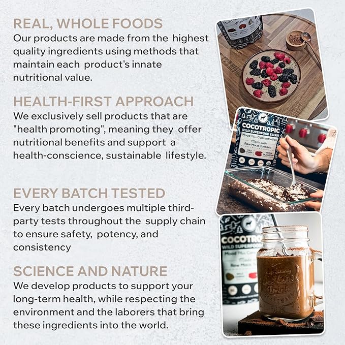 Wild Cocotropic Organic Mushroom Cocoa Mix - Healthy Vegan Hot Chocolate Mix - Organic Cacao Powder, Reishi, Chaga, Maca, Turmeric - 3rd Party Tested - Sugar Free - Keto & Paleo - (2 packs of 16oz)