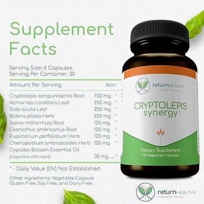 Cryptolepis Synergy, Immune Support Vitamins, Immune System Booster for Adults, Liver, Lymphatic, & Immune Support Supplement, Supports Lyme & Natural Parasite Defense, 120 Capsules, 3 Pack