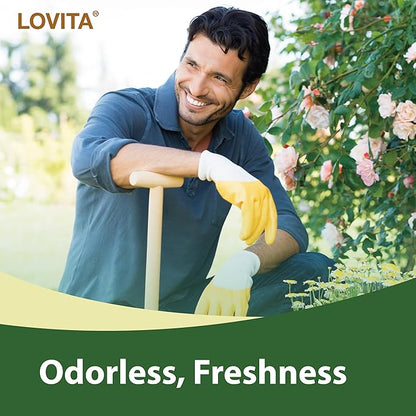 Lovita Odorless Garlic Extract, 50mg 100:1 Concentrate, High Potency, 1.25% Allicin, Gluten-Free, Supports Immune & Cardiovascular Health, 60 Vegan Capsules (Pack of 5)