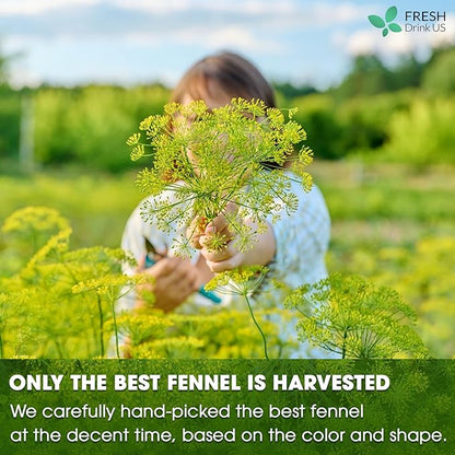 FreshDrinkUS, Premium 55 Fennel Tea Bags, 100% Natural & Pure from Fennel Seeds. Fennel Seed Herbal Tea. Fennel Seed Tea. Made with Natural Material Tea Bags. No Sugar, No Caffeine, No Gluten, Vegan.