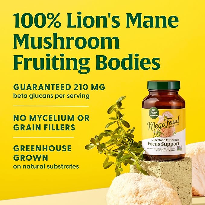 MegaFood Superfood Mushroom Focus Support - Doctor Formulated Lions Mane Supplement Capsules - Lions Mane Mushroom Supplement with Clinically Studied Bacopa - Vegan - 60 Capsules, 30 Servings