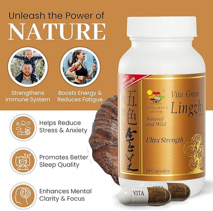 Vita Green Reishi Mushroom Capsules for Energy, Memory, and Immune Support – Pure Reishi Supplement with Natural Antioxidants for Daily Wellness and Engery – 10 Capsules
