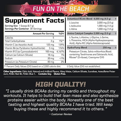 PMD Sports Arsenal X Inferno Superior Fast-Acting Liquid Gel Thermogenic Fat Burner (120 Liquid Gels) Sports BCAA for Recovery and Performance- Fun on The Beach (30 Servings)