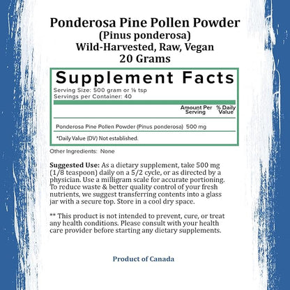 Holistic Bin Pine Pollen Powder | Wild Harvested, Golden Canadian Pine Pollen | Pollen Made from The Ponderosa Pine Tree, 20 g