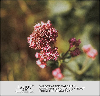 Valerian Root 4:1 Extract Capsules 750mg – Optimized Active Purity – 4X Concentration Valerian Root Extract Supplement - Gluten Free, Non-GMO – Promotes Relaxation - 60 Capsules