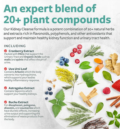 Chanca Piedra Kidney Cleanse Detox & Repair - Herbal Liver & Kidney Support Supplement with Cranberry Astragalus & More for Cleansing Protective Support - Vegan Non-GMO & Lab Verified (4 Month Supply)