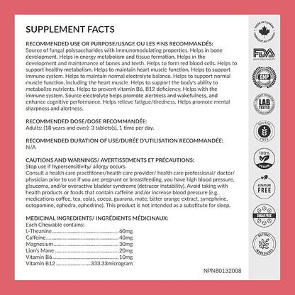 Focus & Clarity Nootropic Supplement – Brian Boost | L-Theanine, Caffeine, Lion’s Mane, Magnesium, Vitamin B6 & B12 | Brain Support, Memory, Focus & Energy | Mint Flavor (30 Chewables) (1)