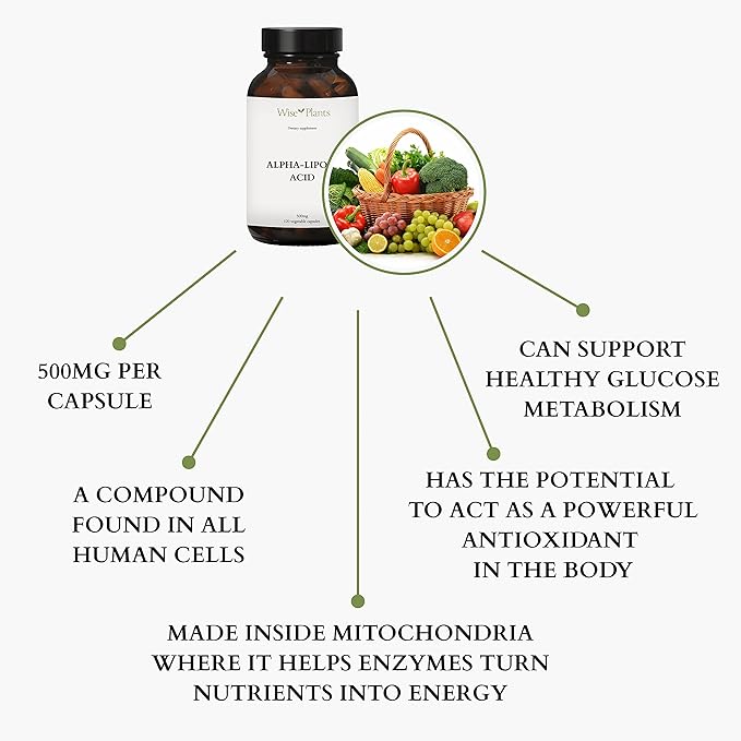 Alpha-Lipoic Acid - Non-GMO - 500mg, 120 Servings (4 Months Supply), Energy Levels, Mitochondria Support