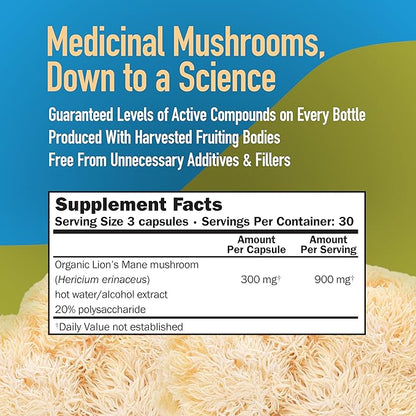 Lions Mane Mushroom Capsules, Memory & Concentration Support, Full Spectrum Extract, Mushroom Supplement for Adults, Hot Water Extracted Mushrooms, Vegetarian, 300MG, 90 ct