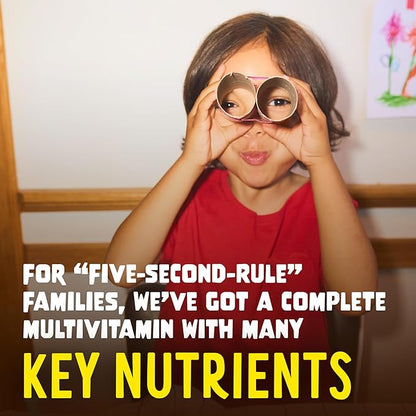 Flintstones Multivitamins for Kids, Sugar Free Kids Multivitamin Gummies, with Vitamins A, C, E, B6 & B12, Raspberry Flavored Gummy Vitamins, 60 Count