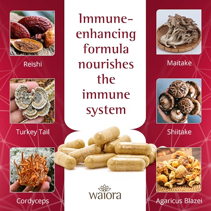 Waiora MegaDefense Mushroom Capsules (3 Bottles), Supplement for Daily Wellness, 6 Mushroom Supplement: Reishi, Turkey Tail, Cordyceps, Maitake, Agaricus & Shiitake, Non-GMO (60 Veggie Caps)
