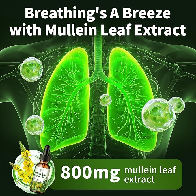 (2 Pack) Mullein Drops for Lungs, 16-in-1 Mullein Leaf Extract 800MG for Lung Cleanse, Respiratory, Immunity, with Quercetin, Marshmallow, Black Cumin Seed, Elderberry, Non-GMO, 2 Fl Oz