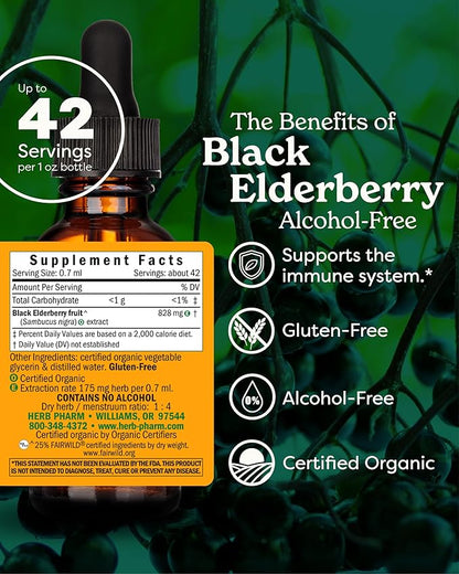 Herb Pharm Certified Organic Black Elderberry Liquid Extract for Immune System Support, Alcohol-Free Glycerite, 1 Ounce