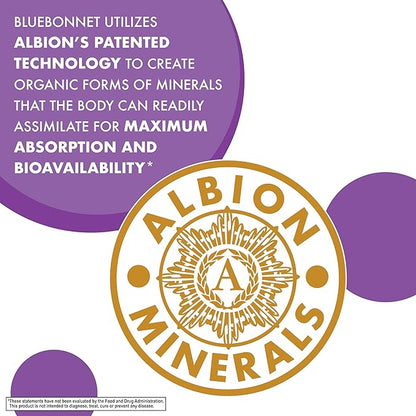 Bluebonnet Nutrition Magnesium Malate Vegetable Capsules - Supports Energy, Muscle & Joint Health - Non-GMO, Vegan, Kosher Certified, Gluten-Free, 90 Count