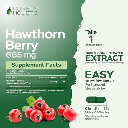 Purely Holistic Grape Seed Extract 400mg + Hawthorn Berry 665mg Bundle - 400 Vegan Capsules - Made in USA