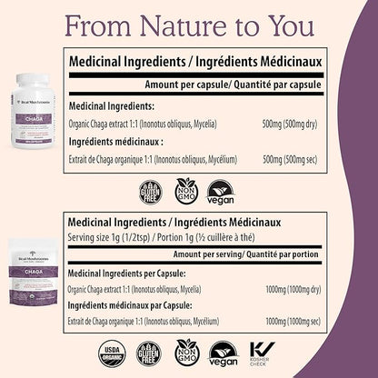 Real Mushrooms Chaga Powder - Organic Mushroom Supplement with Extract for Digestion, Energy, Immune Support Vegan Extract, Non-GMO, 150 Servings