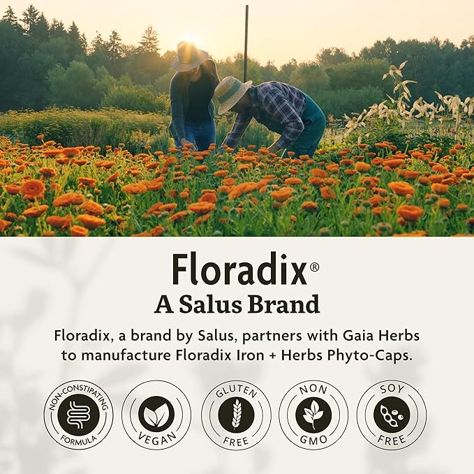 Floradix Iron + Herbs - Iron Supplement for Healthy Energy Support* - Vegan, Non-GMO, Gluten-Free, Soy-Free - 120 Liquid Phyto-Caps