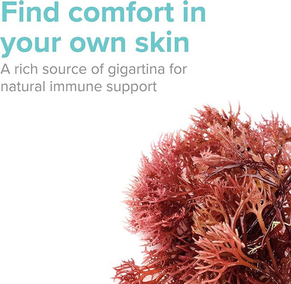 Vibrant Health, Gigartina Red Marine Algae, Plant-Based Immune Support, 60 Capsules
