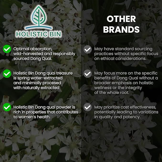 Holistic Bin Dong Quai Root Powder Extract – Wild Harvested Angelica Sinensis – Female Ginseng Herb for Women’s Health & Tea – Extracted for Enhanced Absorption – Grown in Japan – 80 Grams