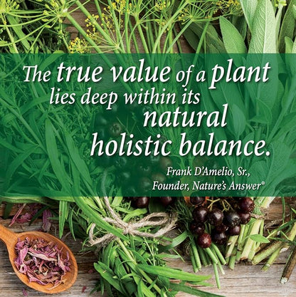 Nature's Answer Marine Based Calcium Magnesium, Vanilla Cream, 16-Ounce | Natural Immune Support | Maintains Healthy Bones | Promote Heart Health | Muscular Function Support