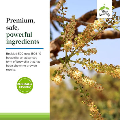 Terry Naturally BosMed 500 - Boswellia Serrata Extract Supplement - Dietary Supplement for Healthy Lung Support - Herbal Supplement Formula - 60 Softgels