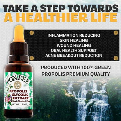 Pon Lee Brazilian Green Bee Propolis Extract 100% Organic, No Alcohol – High Artepillin-C Concentration, Natural Immune Support & Antioxidant, 30ML (3 Pack)