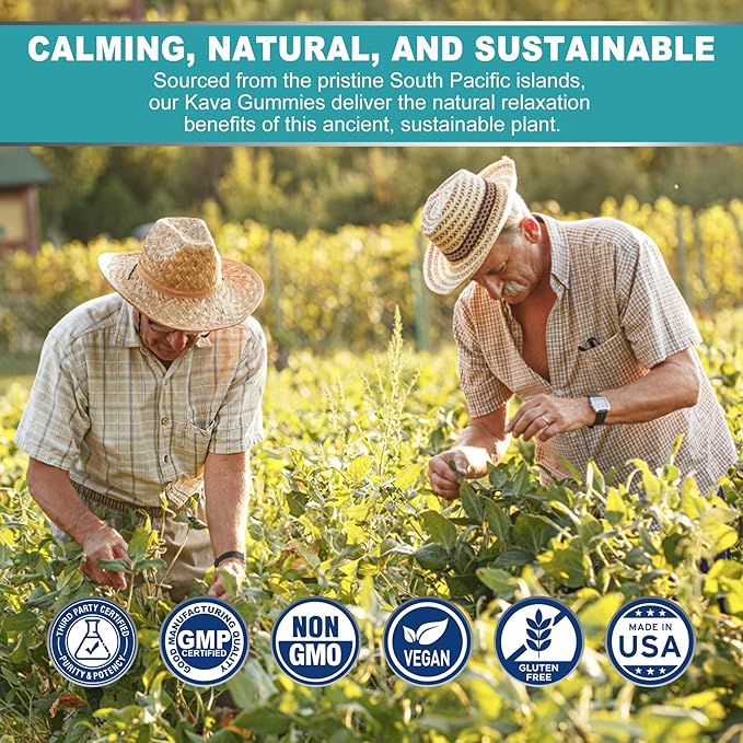 Kava Kava Gummies, Sugar Free Calm Gummies w/Rhodiola Rosea, Ashwagandha, L-Theanine, GABA, Melatonin-Free Kava Blend for Relaxation, Calm and Focus - Alternative to Kava Powder Capsules, Vegan 120 Ct