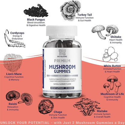 Premium Mushroom Gummies for Adults - Lion's Mane Supplement Gummy with Turkey Tail, Shiitake, Cordyceps, Reishi, Chaga, Maitake Mushroom Gummy - Energy Nootropics Brain Support Supplement