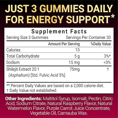Shilajit Gummies for Men & Women | Sugar Free | Himalayan Pure Shilajit for Men Gummies | with Fulvic Acid | Non-GMO, Vegan Supplement | 90 Count