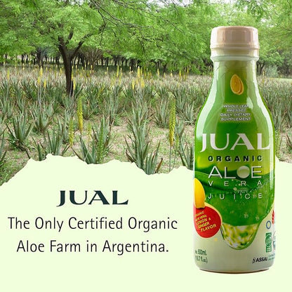 JUAL Healthy Organic Aloe Vera Juice drink, 16.7 Fl Oz - Lemon & Ginger Flavor - Aloe Vera Drink - Vegan, Zero Sugar, Aloin free Pure Aloe Juice for Gut Health - Immune Booster, 500ml (Pack of 1)